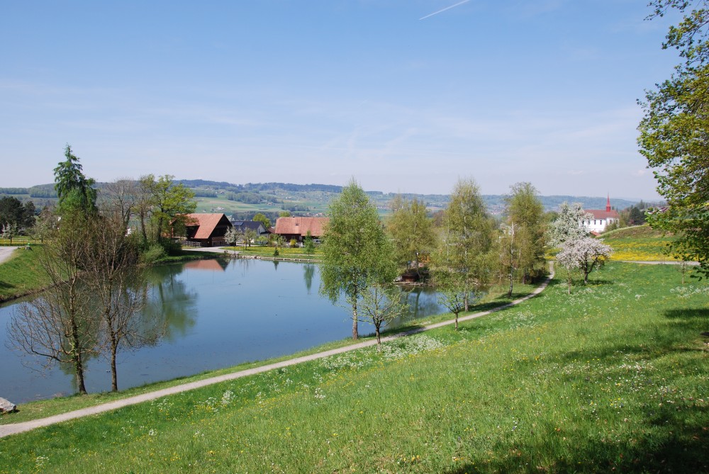 Naherholungsgebiet Weiher (1/7)